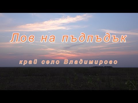 Видео: Лов на пъдпъдък край село Владимирово