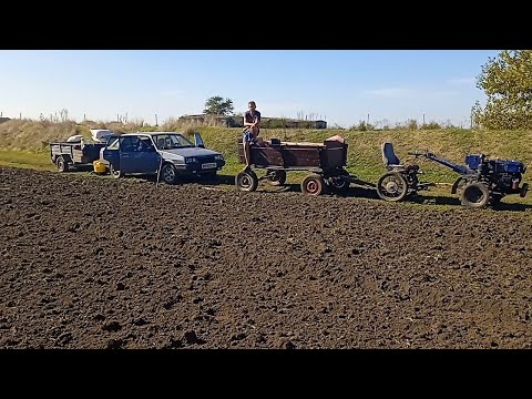 Видео: ❌Посів озимого ячменю 2024👍