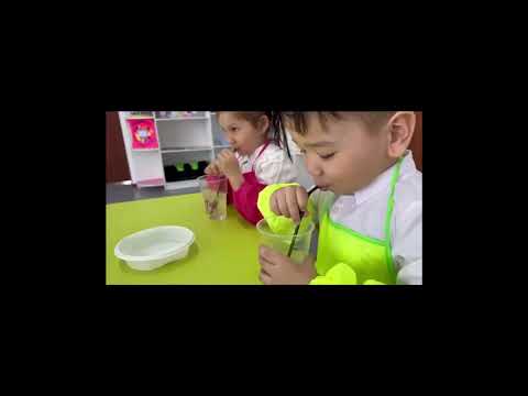 Видео: "Бәйшешек" бөбекжай бақшасы Тақырыбы: Мен зерттеушімін           Тәрбиеші: А.Әлиева