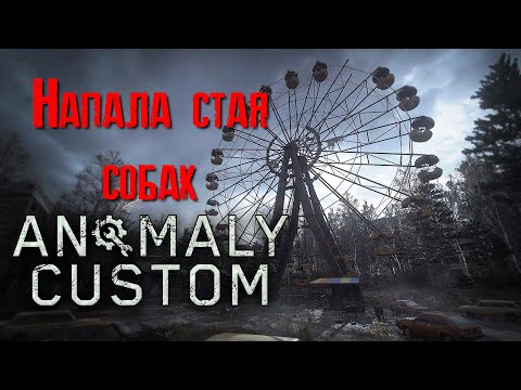 Видео: Stalker anomaly custom Напала стая собак [2К]✅