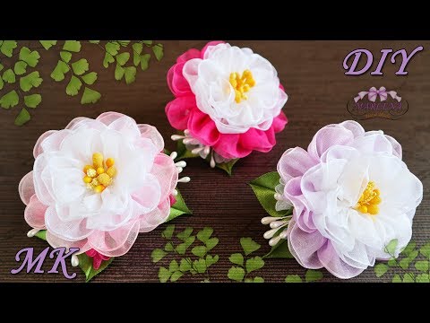 Видео: 🌺 Цветы из органзы. Резиночки для волос. МК/DIY