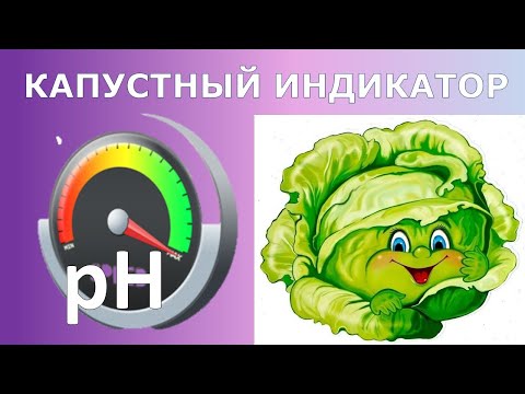 Видео: Капустный рН индикатор