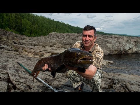 Видео: Север 2018. 2 часть.