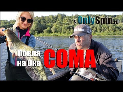 Видео: Ловля сома на Оке  Квок  #OnlySpin