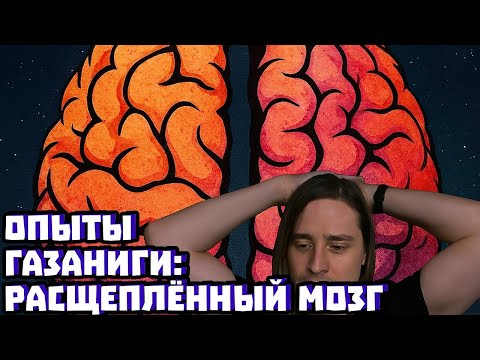 Видео: Опыты Газаниги: расщеплённый мозг | Владимир Алипов