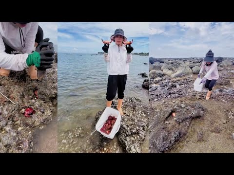 Видео: Богатый источник крабов \ Ловля крабов #краб #рыбалка #ловля #охота