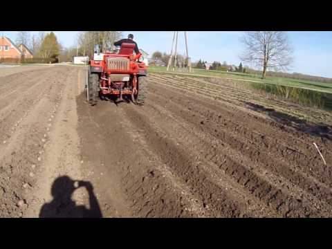 Видео: Посадка картошки  под окучник.