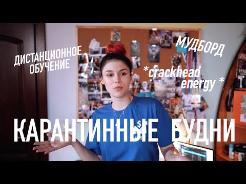 Видео: ЖИЗНЬ НА КАРАНТИНЕ // Дистанционка и Мудбор