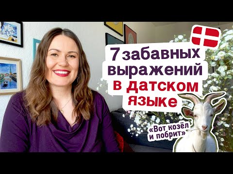 Видео: Датский язык для начинающих: 7 забавных выражений