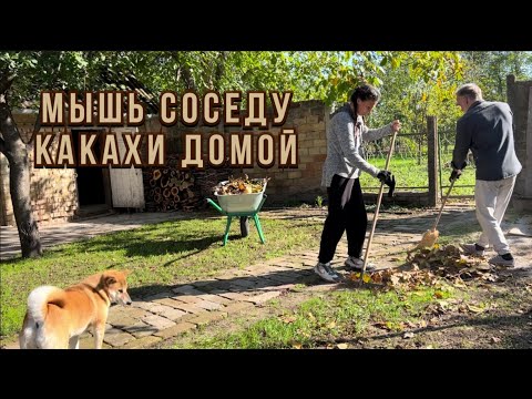 Видео: Сельская жизнь как есть. Учимся обрезать деревья в саду #синдикилайф #переездвсербию #ремонтдома