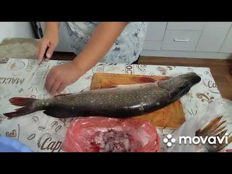 Видео: Вот такой вот улов😋😋😋