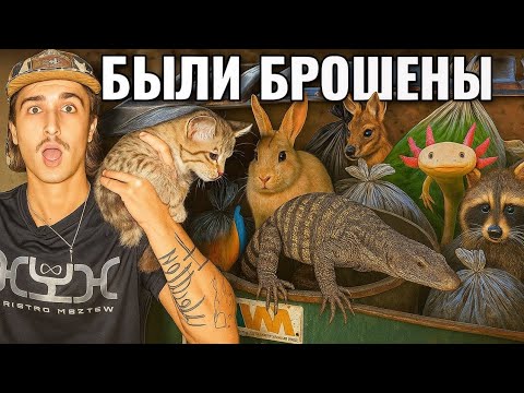 Видео: Я нашёл 23 живых животных в мусорных контейнерах зоомагазина