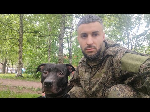 Видео: Я в шоке. Шесть месяцев не видел собак.
