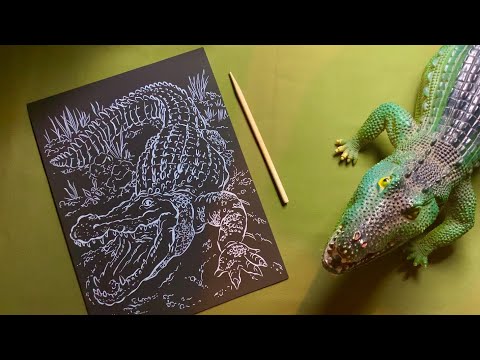 Видео: АСМР Рисование гравюры, факты о крокодилах/ ASMR drawing