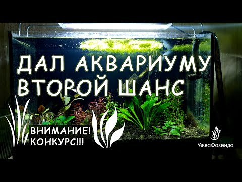 Видео: Как я возрождаю аквариум 35 литров + КОНКУРС!