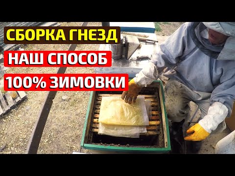 Видео: Сборка гнезда пчел на зиму Зимовка пчел на воле