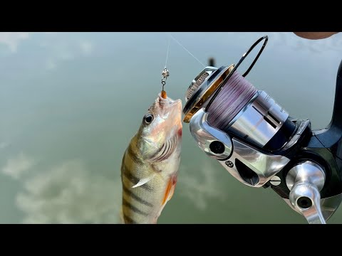 Видео: Микроджиг в знойную жару