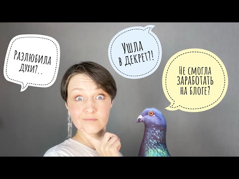 Видео: #54 Возвращение блудного дилетанта: рассказываю, где пропадала