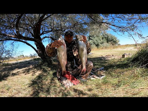 Видео: ЖЕРЕХ СЛОМАЛ СПИННИНГ!!! ОСЕНЬ 2024 г 16. СЕНТЯБРЬ. Рыбалка с ночёвкой