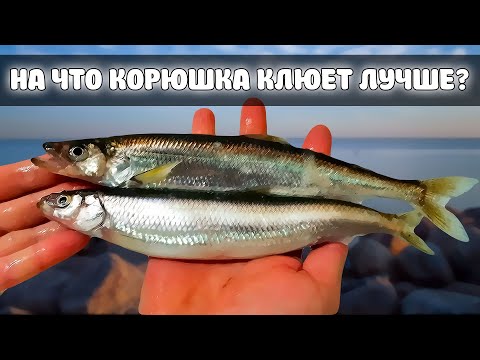 Видео: На что корюшка клюет лучше? ЭКСПЕРИМЕНТ.