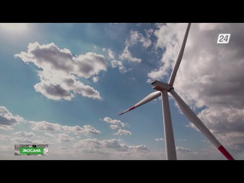 Видео: Жел генераторынан қандай пайда келеді? | Экосана
