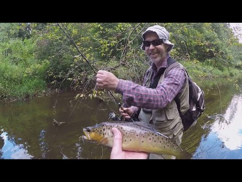 Видео: ХАРИУСЫ в ГРОЗУ