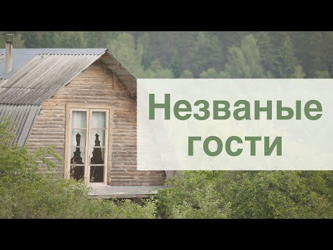 Видео: Незваные гости - Рассказ о гонениях