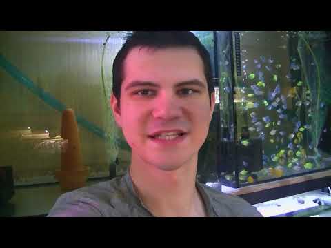 Видео: Как развести Дискусов. Секреты нерестовой воды.