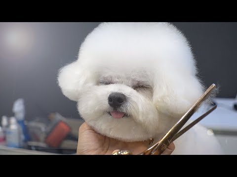 Видео: как я выгляжу?