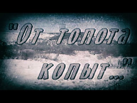 Видео: Первая премия "ТЕФИ" на Камчатке. Фильм "От топота копыт"