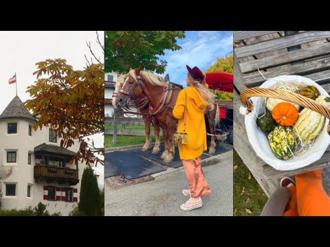 Видео: Альпійська осінь, збираю гриби, готую вечерю #затишок 