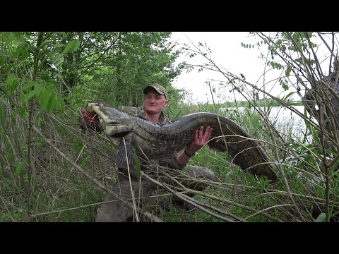 Видео: СНАСТЬ ХАПУГА! ЕЕ НАДО ЗАПРЕЩАТЬ!!! Днепр. Часть 1.