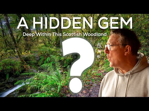 Видео: Этот волшебный шотландский лес скрывает невероятную тайну!