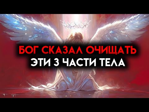Видео: ИЗБРАННЫЙ, НЕ УПУСТИ НИ ОДНОГО ДНЯ — ОЧИЩИ ЭТИ ДЕТАЛИ СЕЙЧАС 🙌