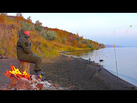 Видео: ПОПАЛ НА БЕШЕНЫЙ КЛЕВ!!! ПРИШЛИ ОНИ И..!!! Рыбалка осенью с ночевкой.
