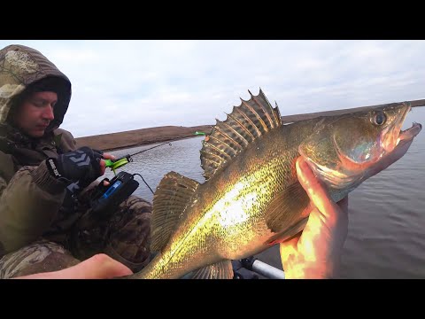 Видео: НОЯБРЬ ЛЬДА НЕТ, ЕДЕМ за СУДАКАМИ на ПЛАТНИК! На что лучше ловить СУДАКА с лодки?