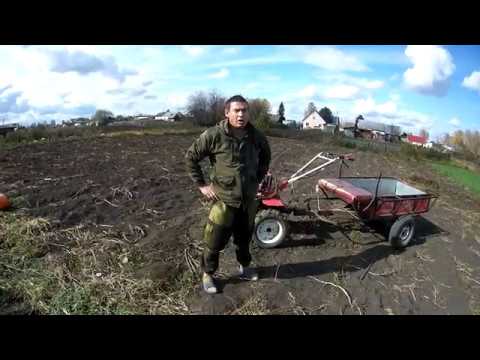 Видео: Возим тыкву на "БРАЙТЕ" с прицепом.Сколько сможет увезти?