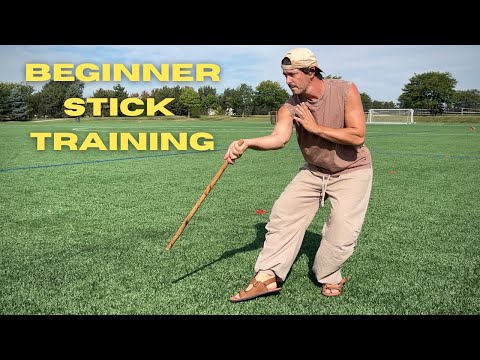 Видео: Простая тренировка Kali для начинающих | Flow & Strikes