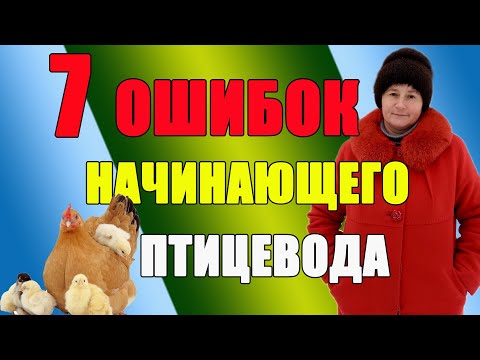 Видео: Семь ошибок начинающего птицевода.