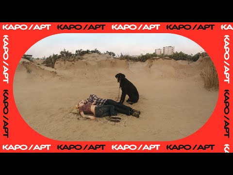 Видео: «Голубь сидел на ветке, размышляя о бытии» / разговор с Евгением Жариновым