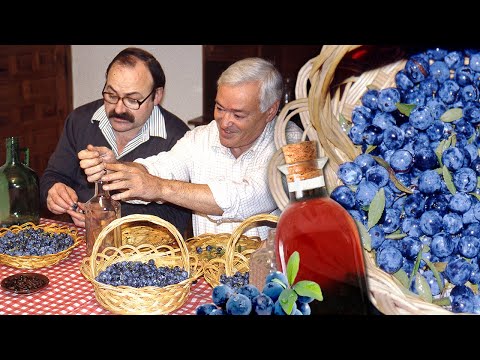 Видео: Мастер PACHARAN в Пиренеях. Разработка этого ЛИКЕРА с царапинами, кофе и анисом