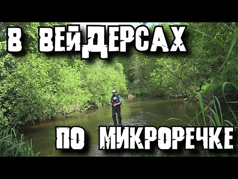 Видео: Ловля голавля на микроречке | Тест вейдерсов | Ультралайт кастинг