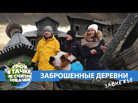 Видео: ТРОЕ В ТАЧКЕ, НЕ СЧИТАЯ СОБАЧКИ  | Заброшенные деревни. Заонежье.