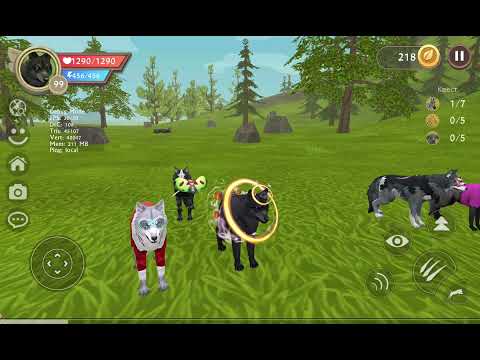 Видео: 9 июля 2024 г.