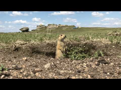 Видео: На страже Святилища "Большие Аллаки"