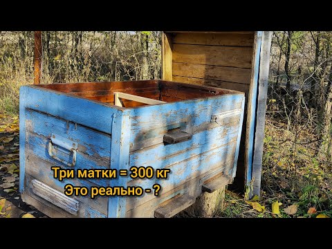Видео: КАНАДСКАЯ СИСТЕМА В УЛЬЕ ЛЕЖАКЕ || 300 КГ МЕДА С ОДНОГО УЛЬЯ