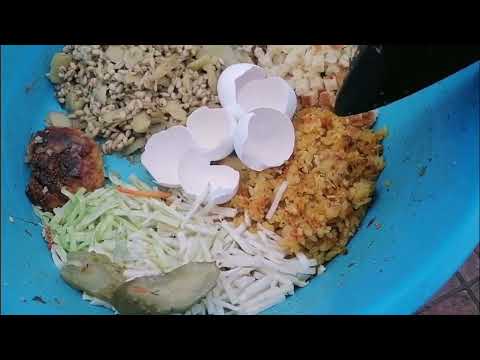 Видео: 31.10.25г. КАК Я КУР СПАТЬ УКЛАДЫВАЛА😄