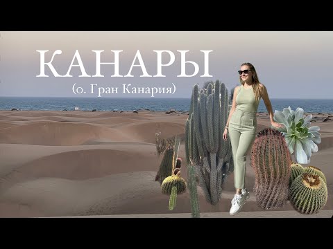 Видео: Канары 2023- кактусы, дюна, природные бассейны. Остров Гран Канария