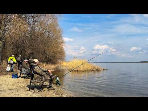 Видео: 🐠🐟 ПОПАЛИ на КЛЕВ ИКРЯНОЙ ПЛОТВЫ / НОЧЕВКА в ЧЕРНОМ ЛЕСУ на ПЕЧЕНЕГАХ 2025 🐠🐟