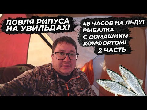 Видео: Ловля рипуса на Увильдах. Рыбалка на рипуса. Рыбалка с домашним комфортом. Поклевки рипуса. Часть 2